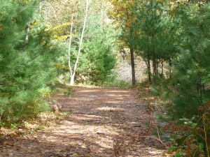 Cedar Brook Burial Ground pathway